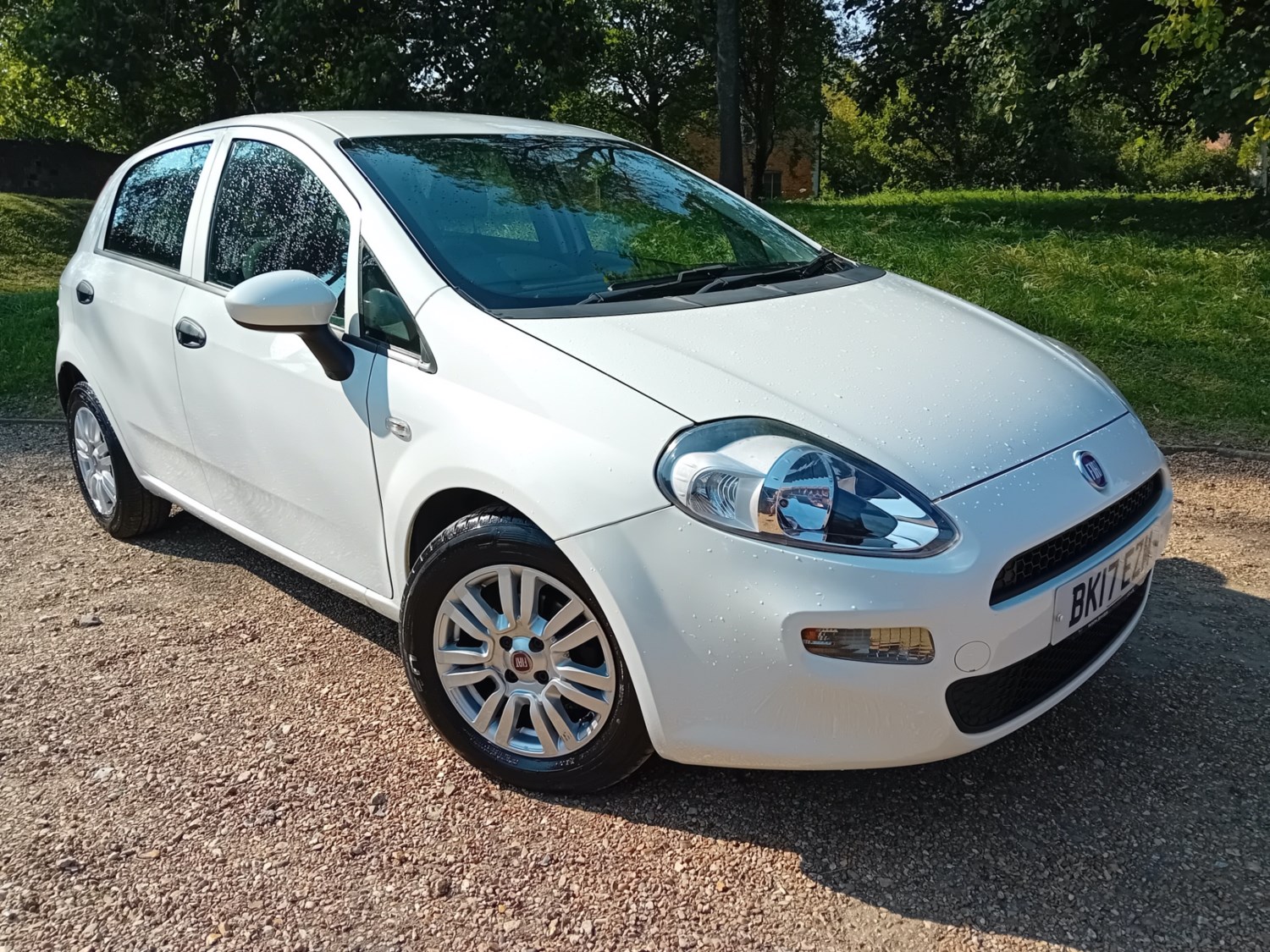 Fiat Punto Listing Image