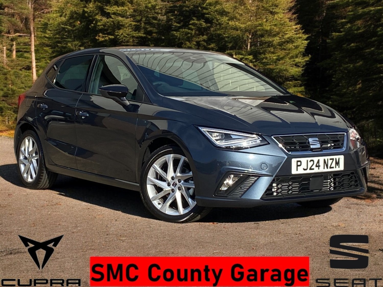 SEAT Ibiza Listing Image