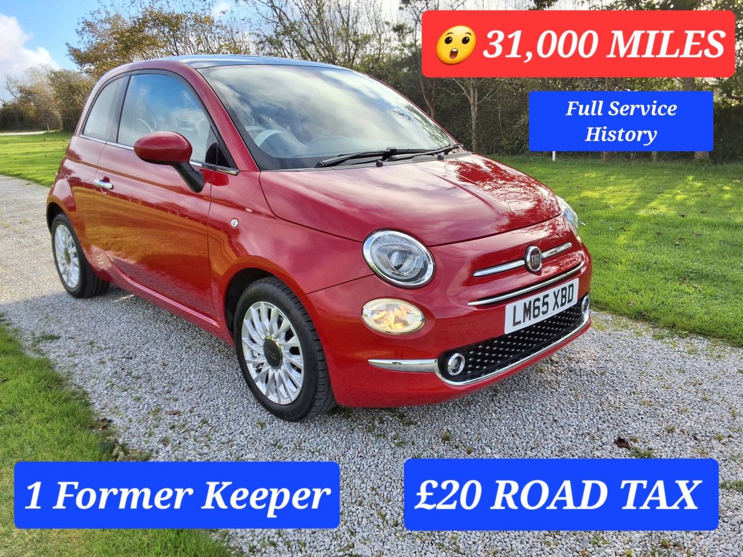 Fiat 500 Listing Image