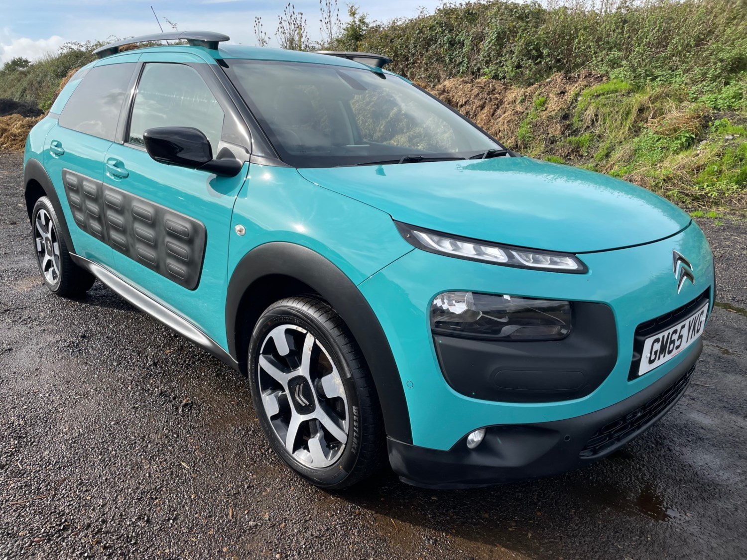 Citroen C4 Cactus Listing Image