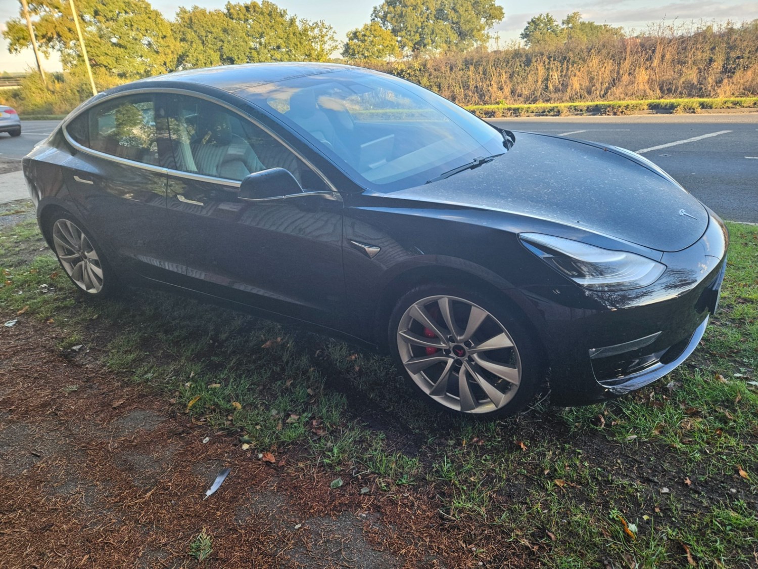 Tesla Model 3 Listing Image