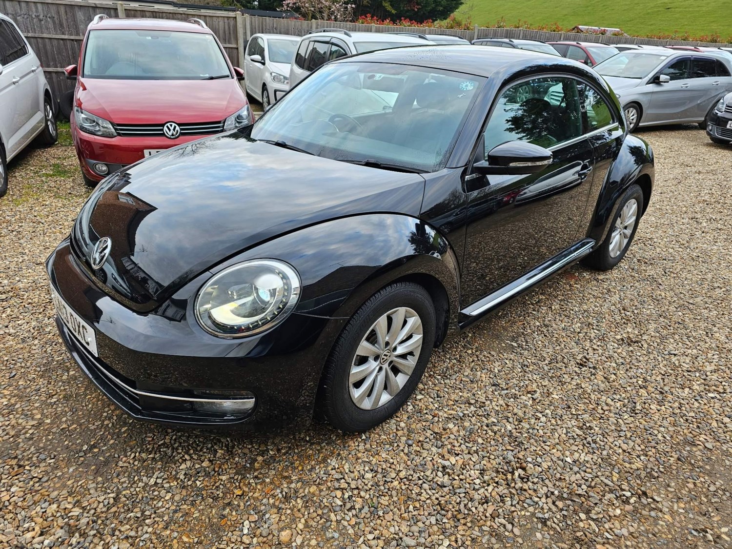 Volkswagen Beetle Listing Image