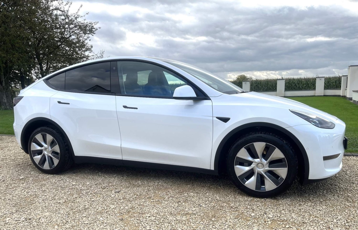 Tesla Model Y Listing Image