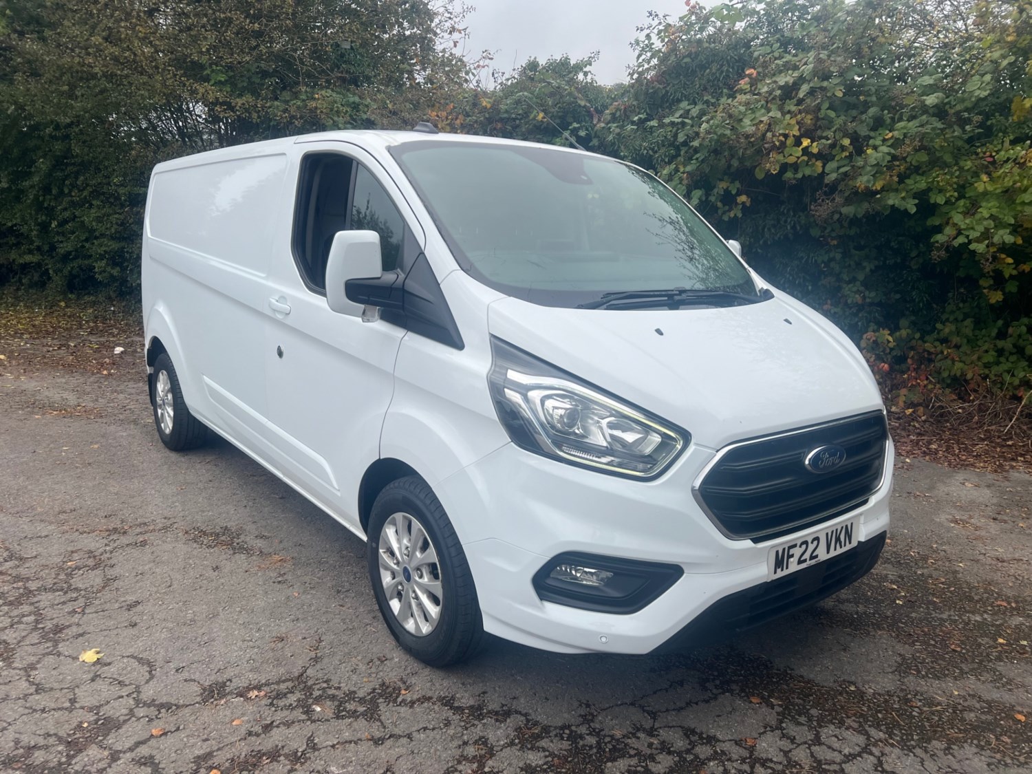 Ford Transit Custom Listing Image