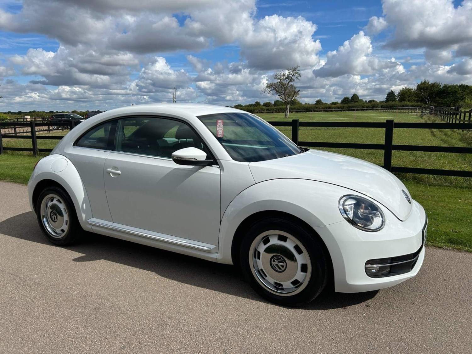 Volkswagen Beetle Listing Image