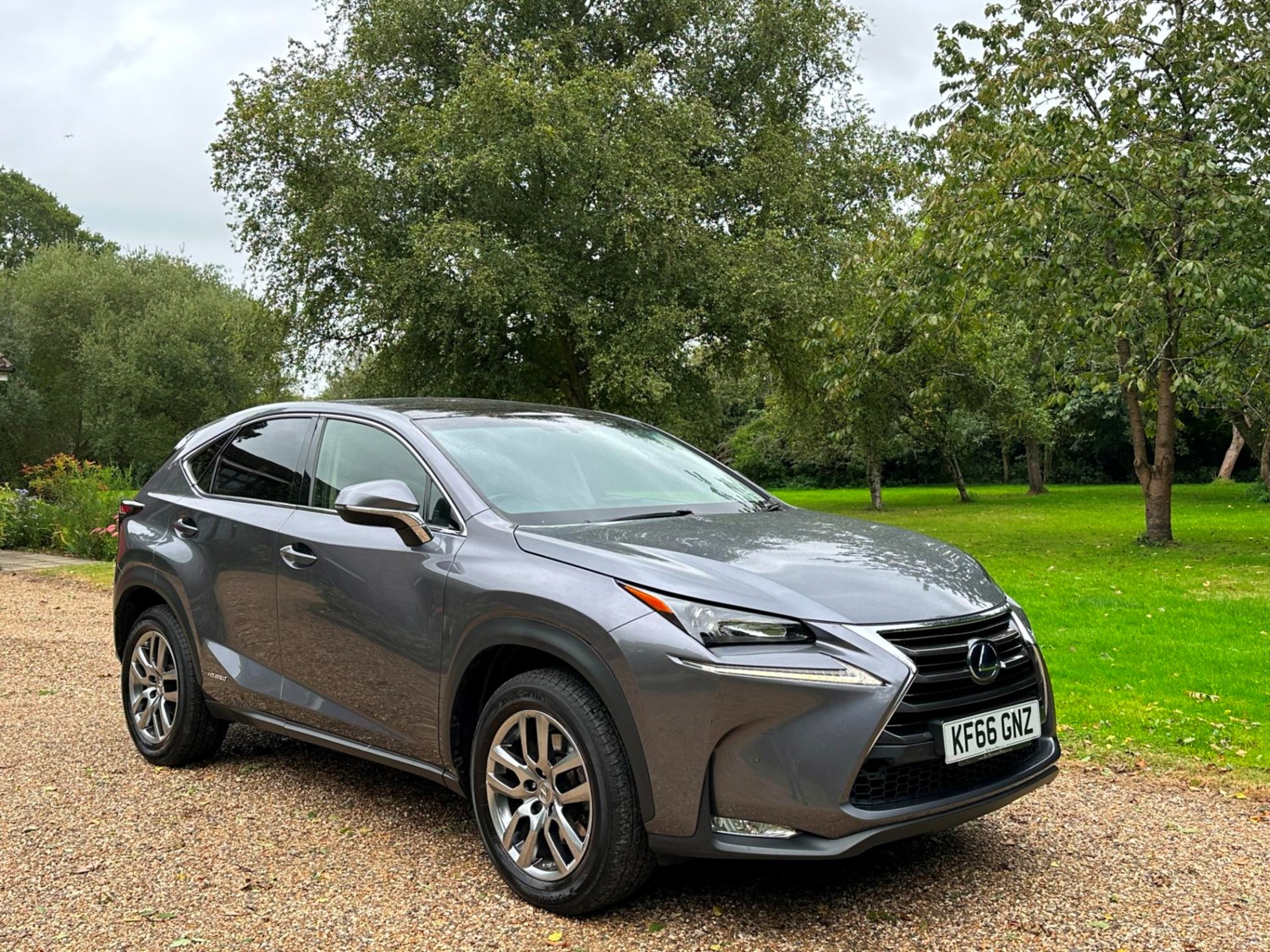 Lexus NX Listing Image