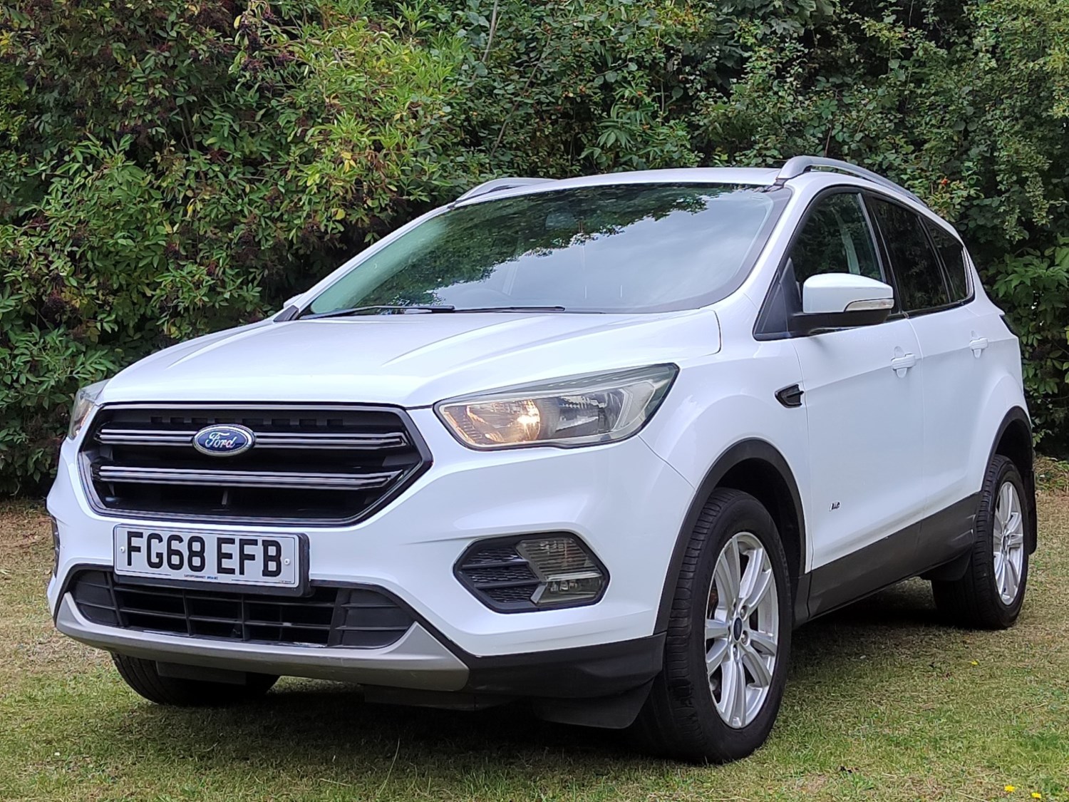 Ford Kuga Listing Image