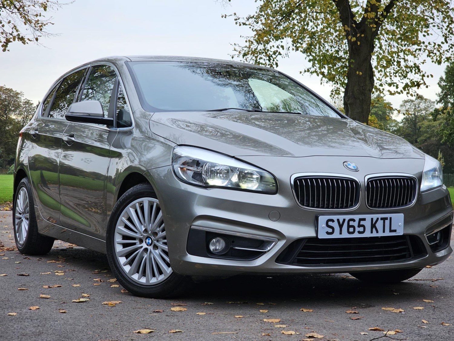 BMW 2 Series Active Tourer Listing Image