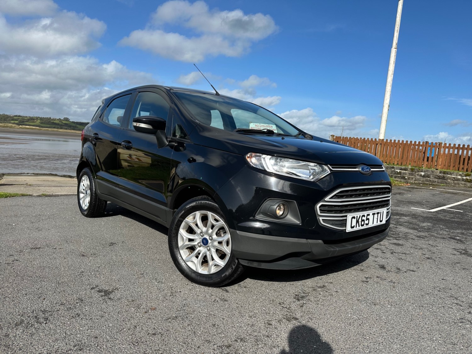 Ford EcoSport Listing Image