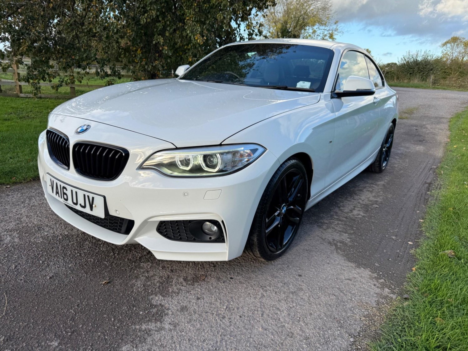 BMW 2 Series Listing Image