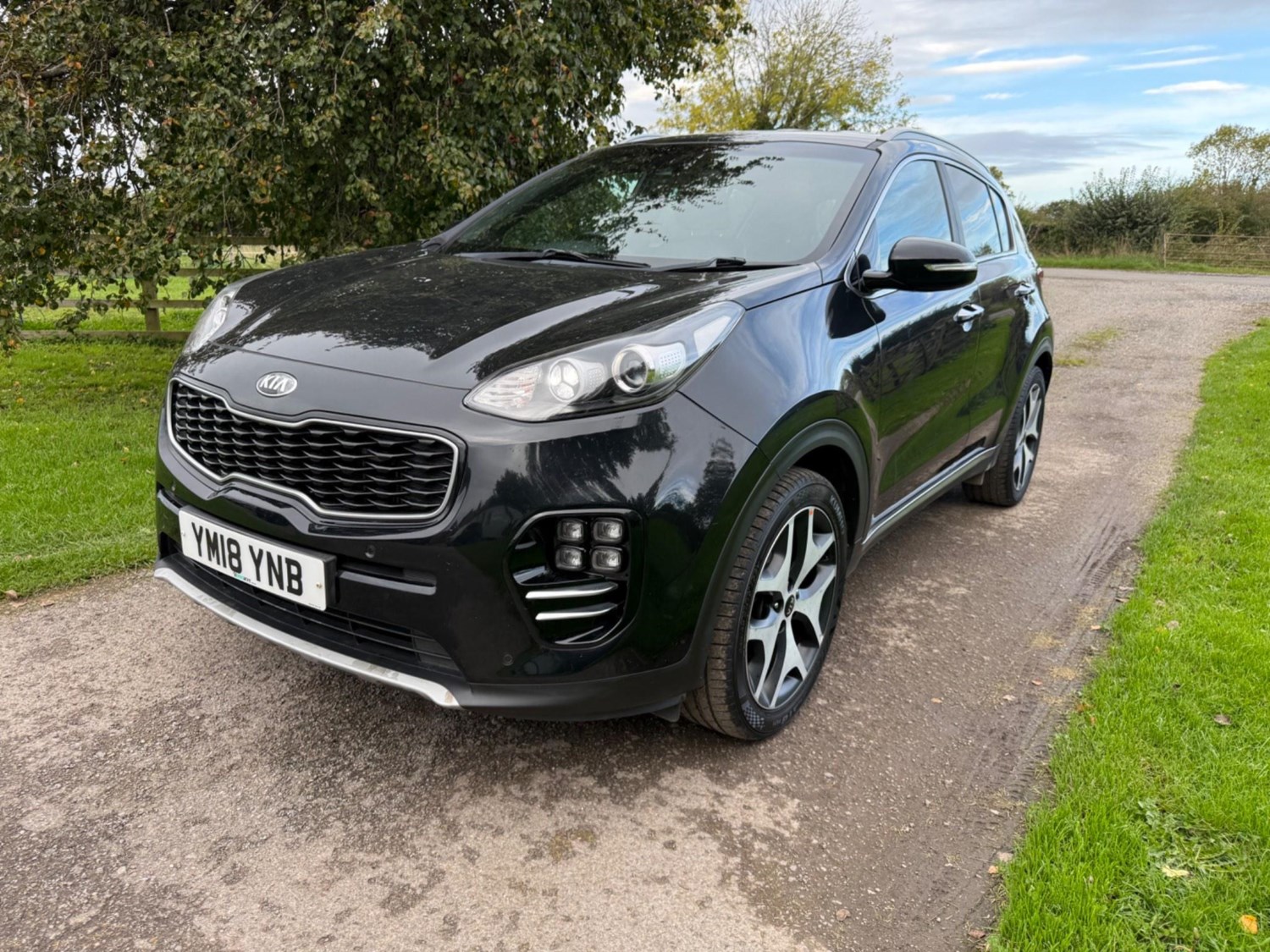 Kia Sportage Listing Image