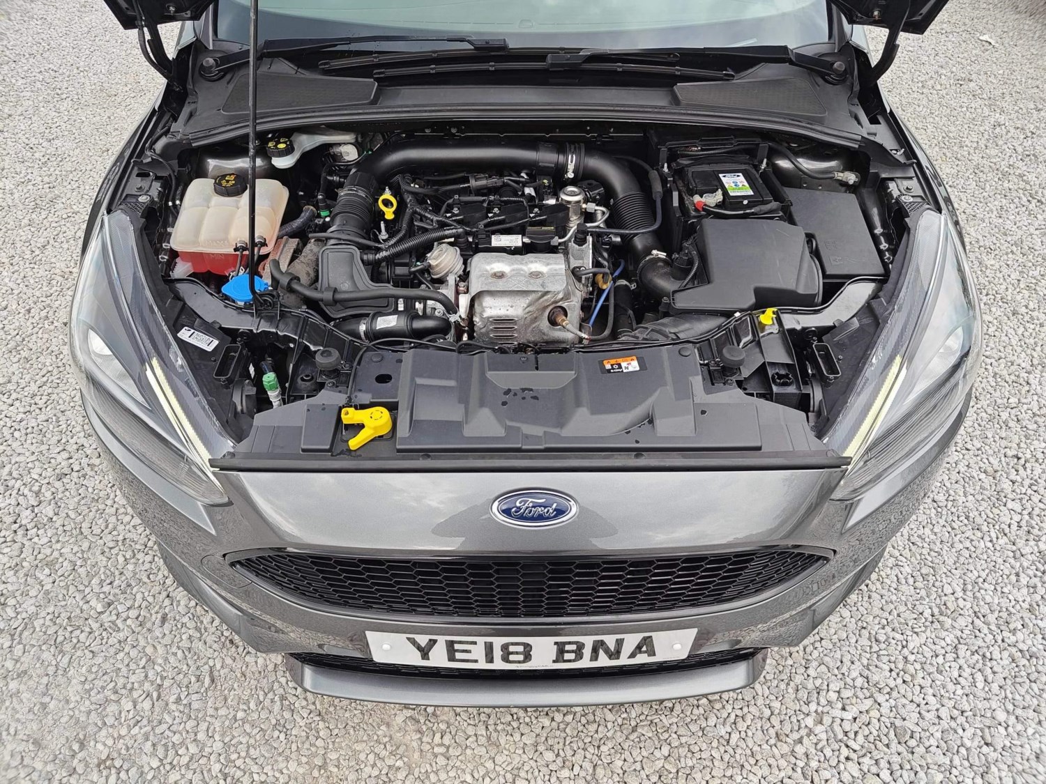 Ford Focus Listing Image