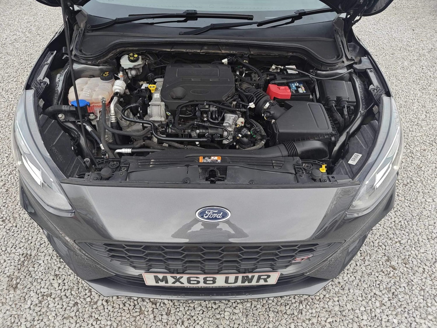 Ford Focus Listing Image