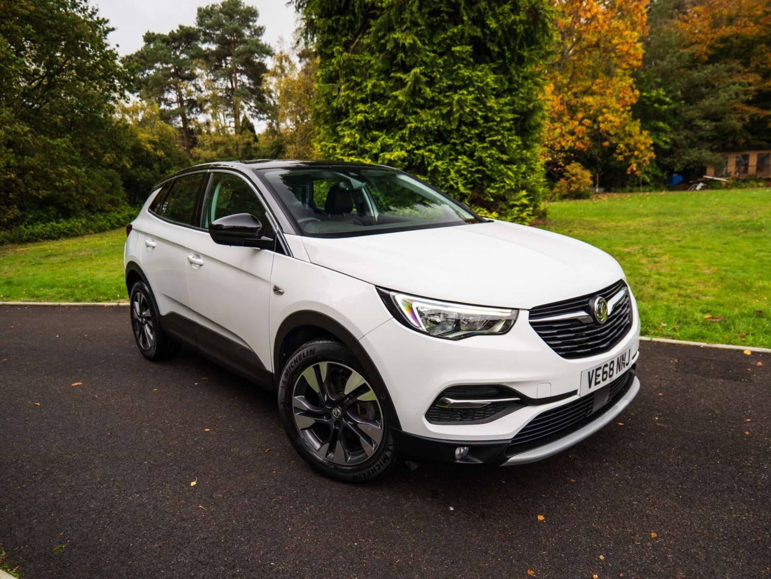 Vauxhall Grandland X Listing Image