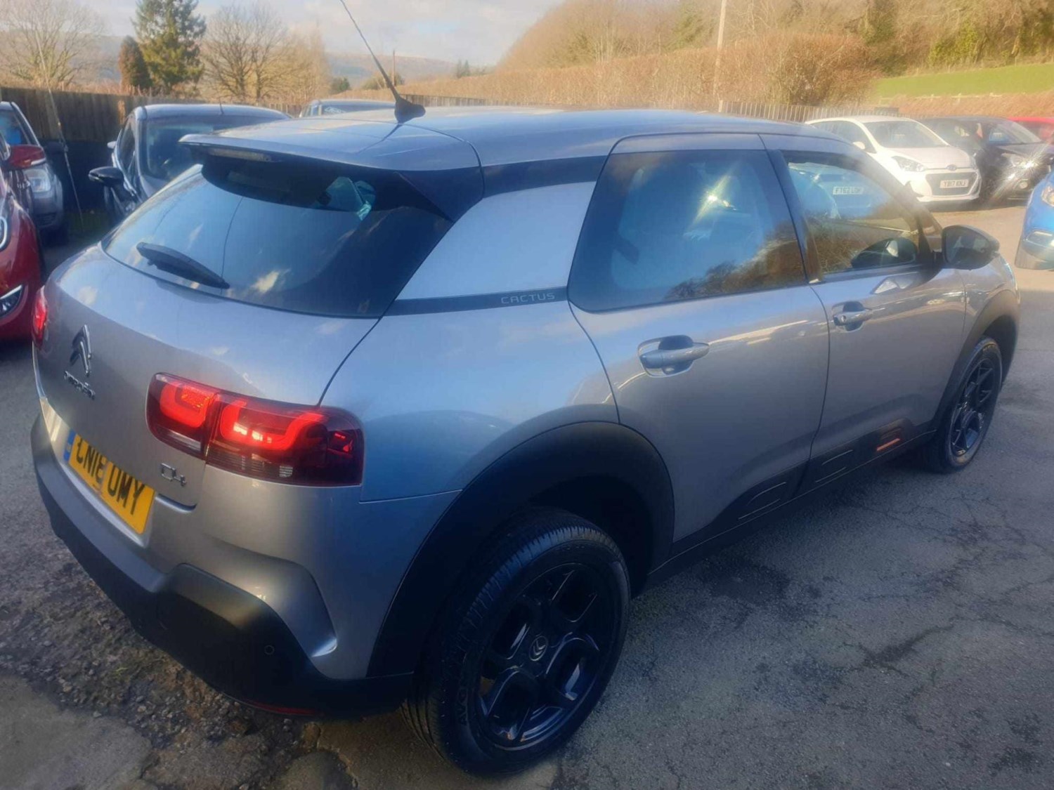 Citroen C4 Cactus Listing Image