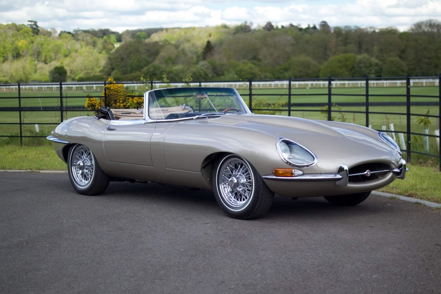 Jaguar E-Type Listing Image