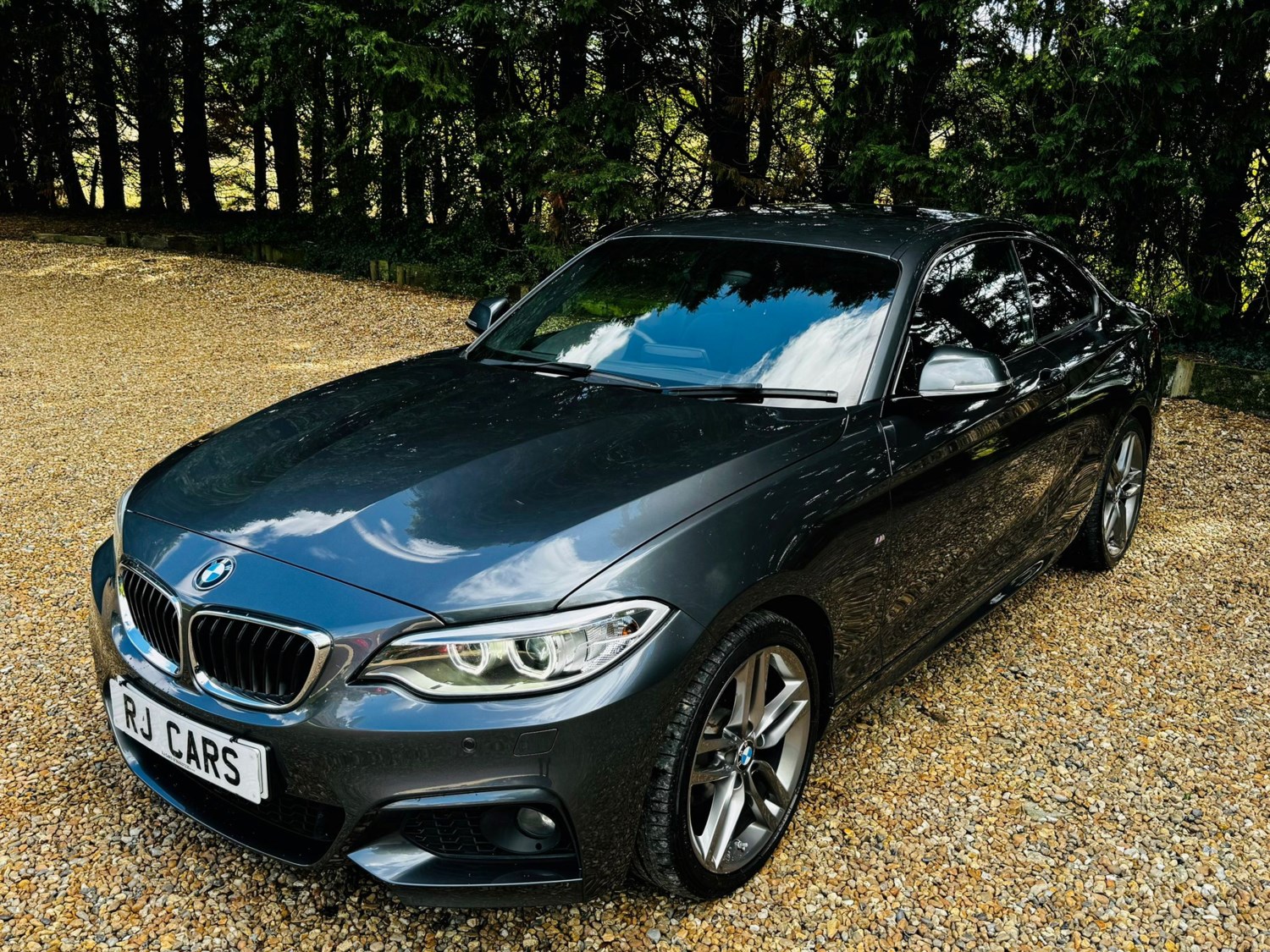 BMW 2 Series Listing Image