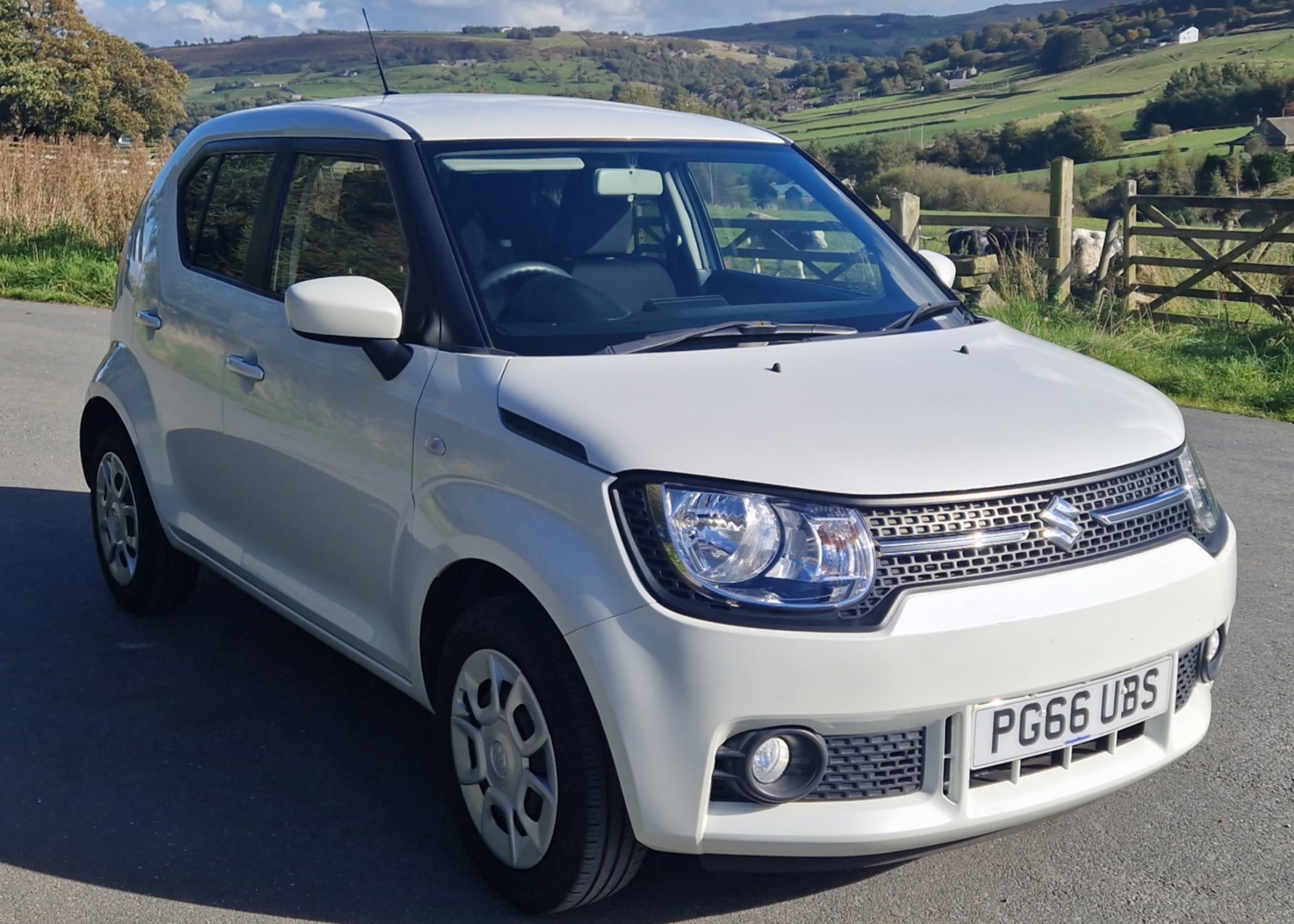 Suzuki Ignis Listing Image