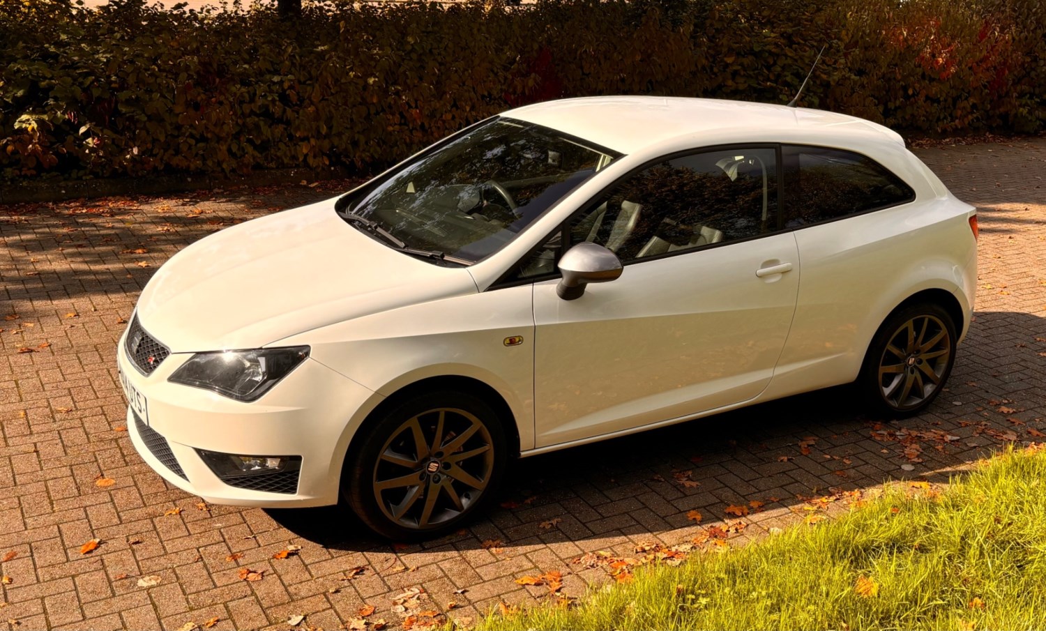 SEAT Ibiza Listing Image