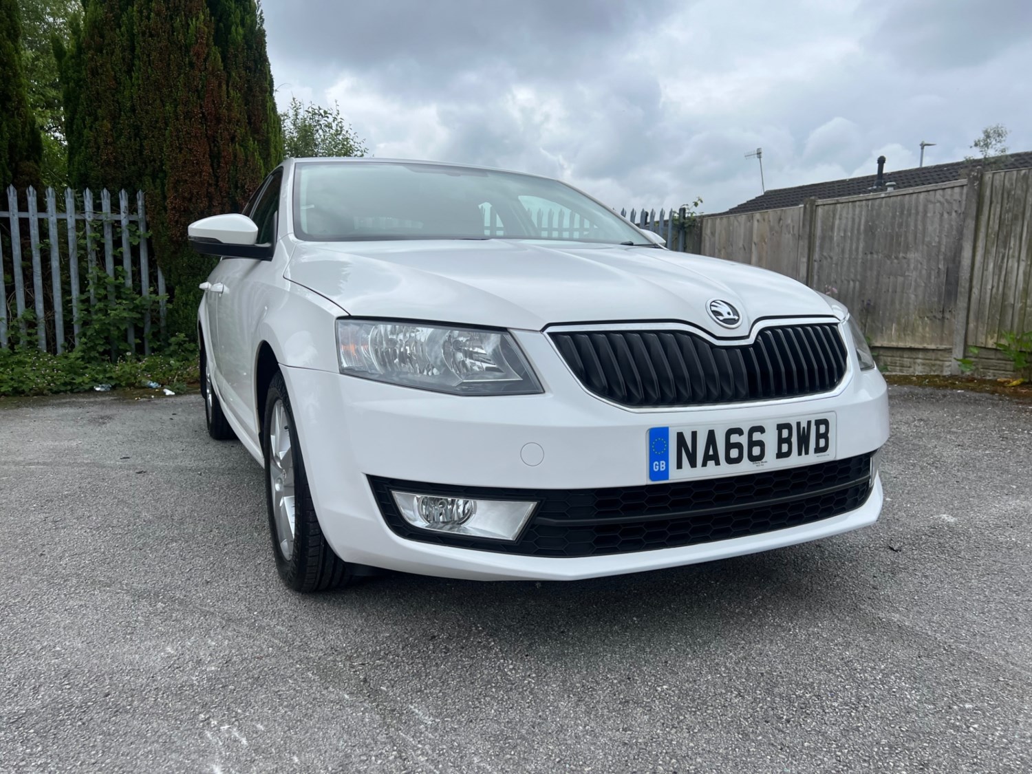 Skoda Octavia Listing Image