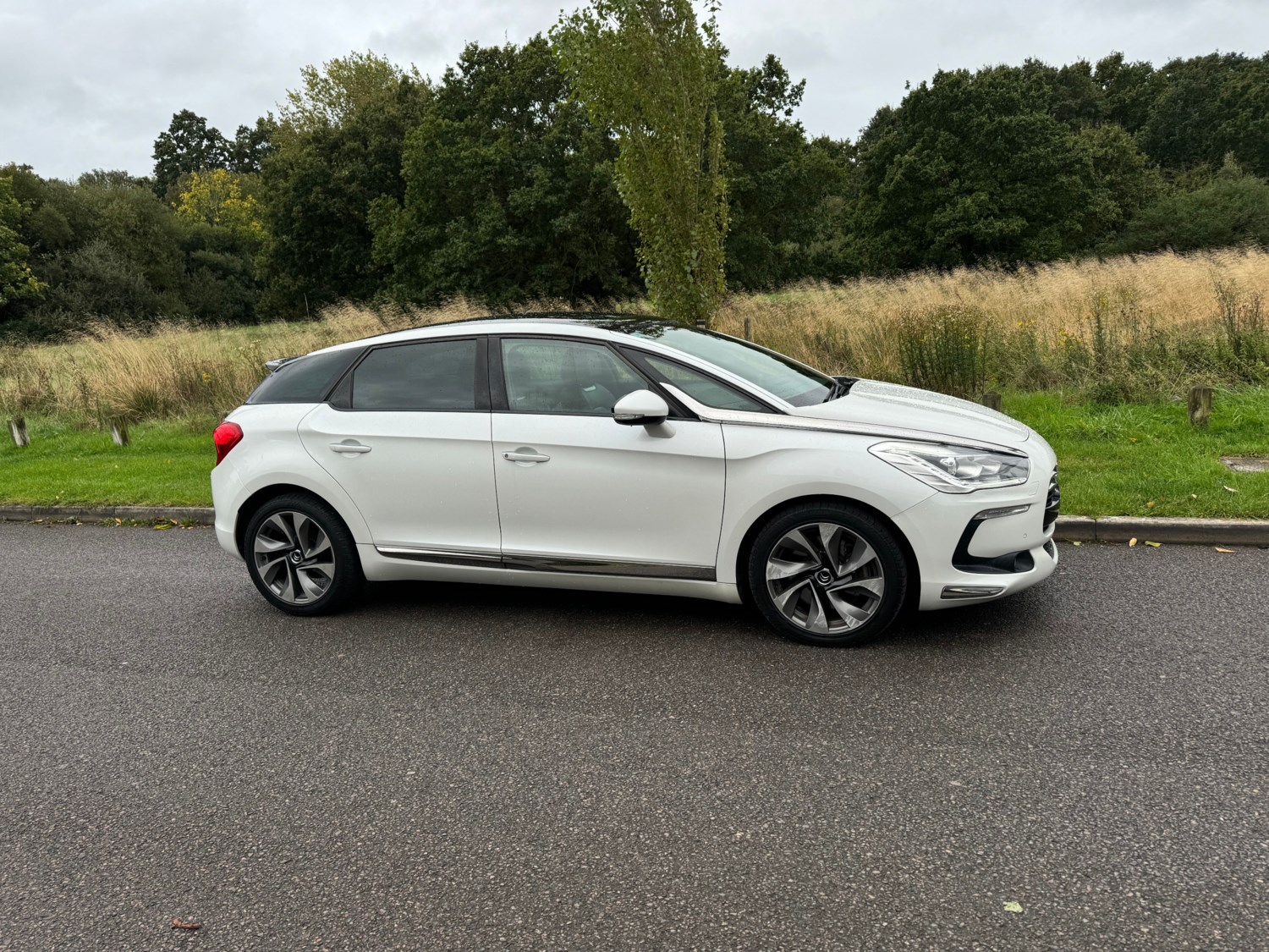 Citroen DS5 Listing Image