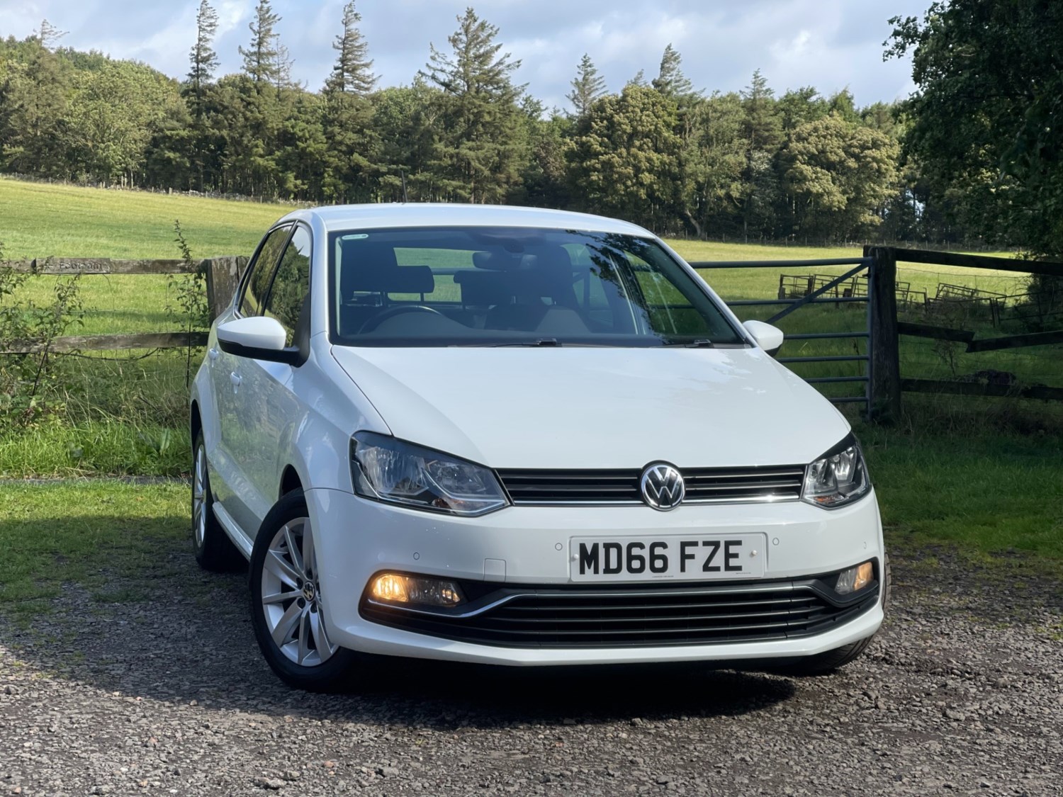 Volkswagen Polo Listing Image