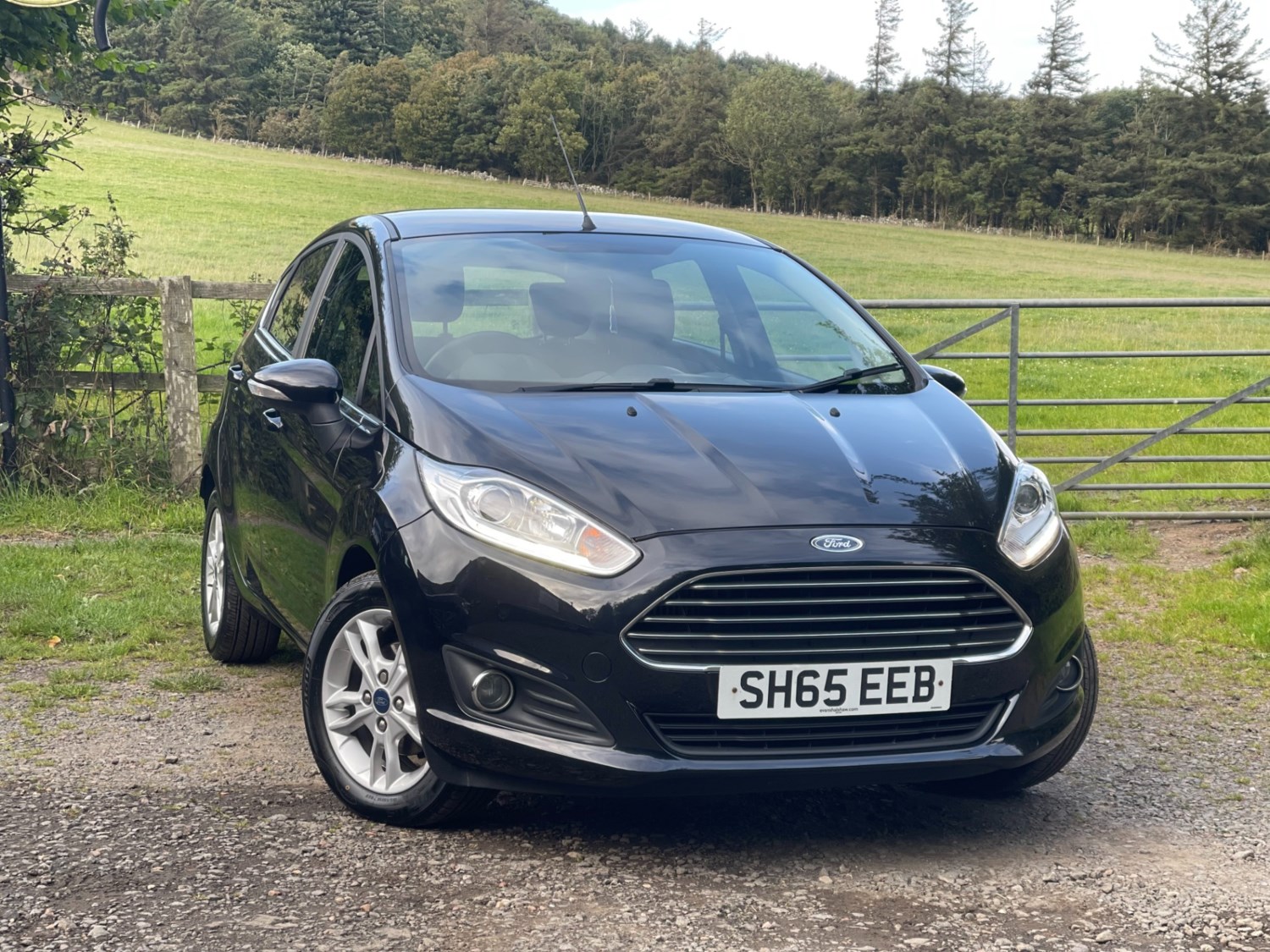 Ford Fiesta Listing Image