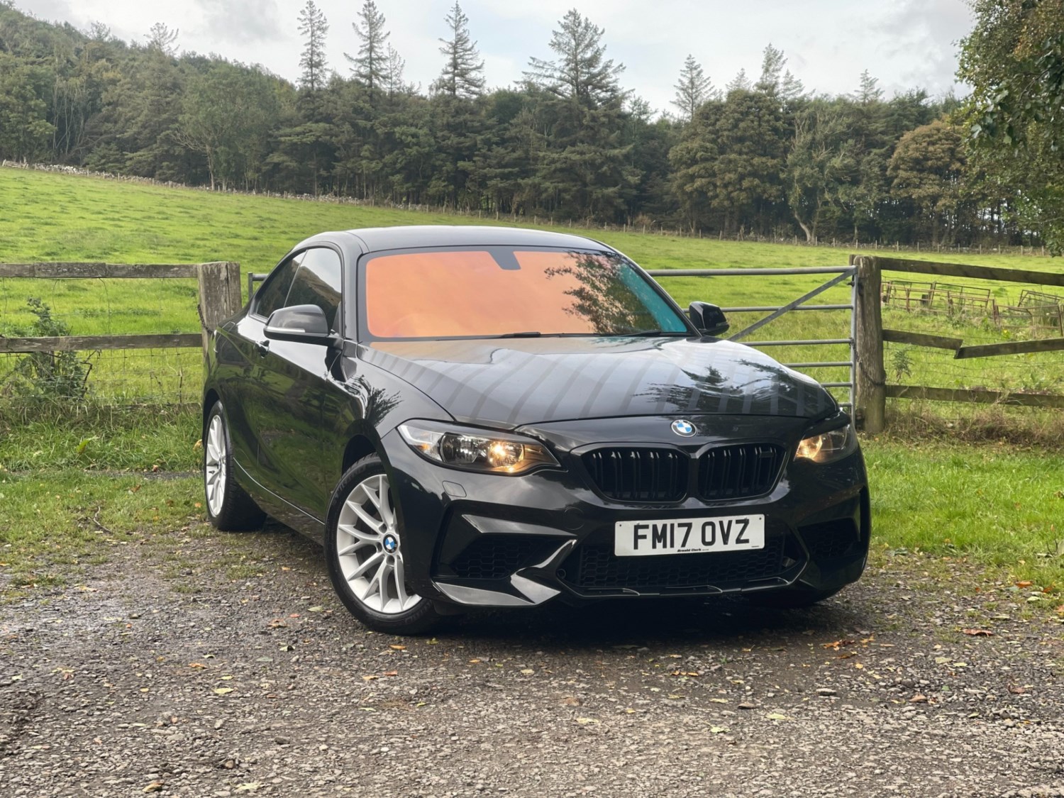 BMW 2 Series Listing Image