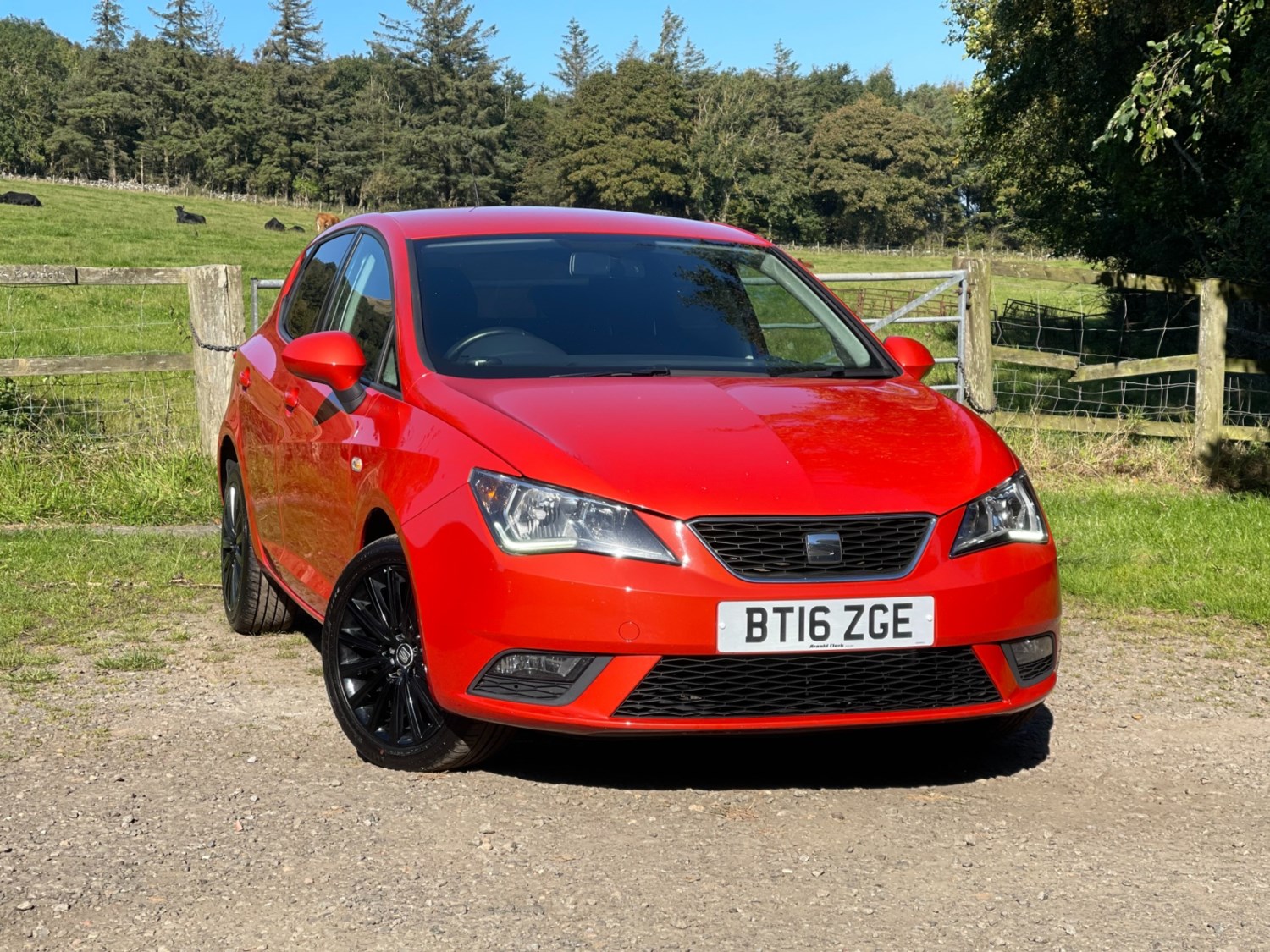 SEAT Ibiza Listing Image