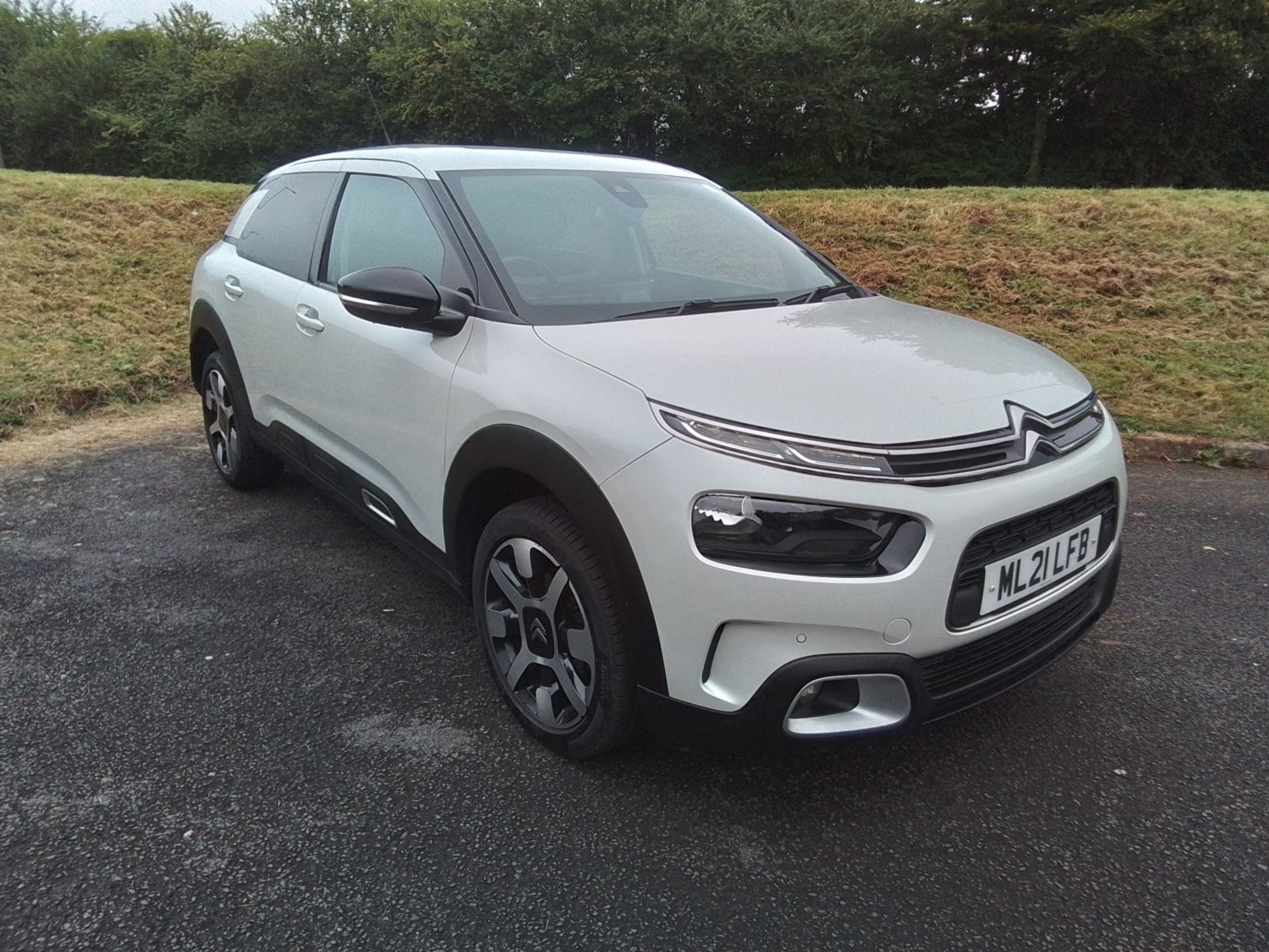 Citroen C4 Cactus Listing Image