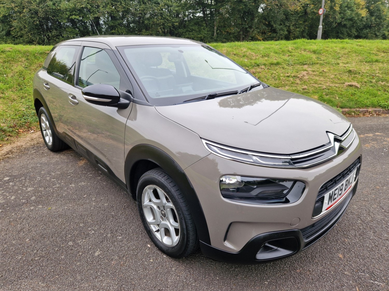 Citroen C4 Cactus Listing Image