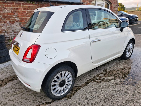 Fiat 500 Listing Image