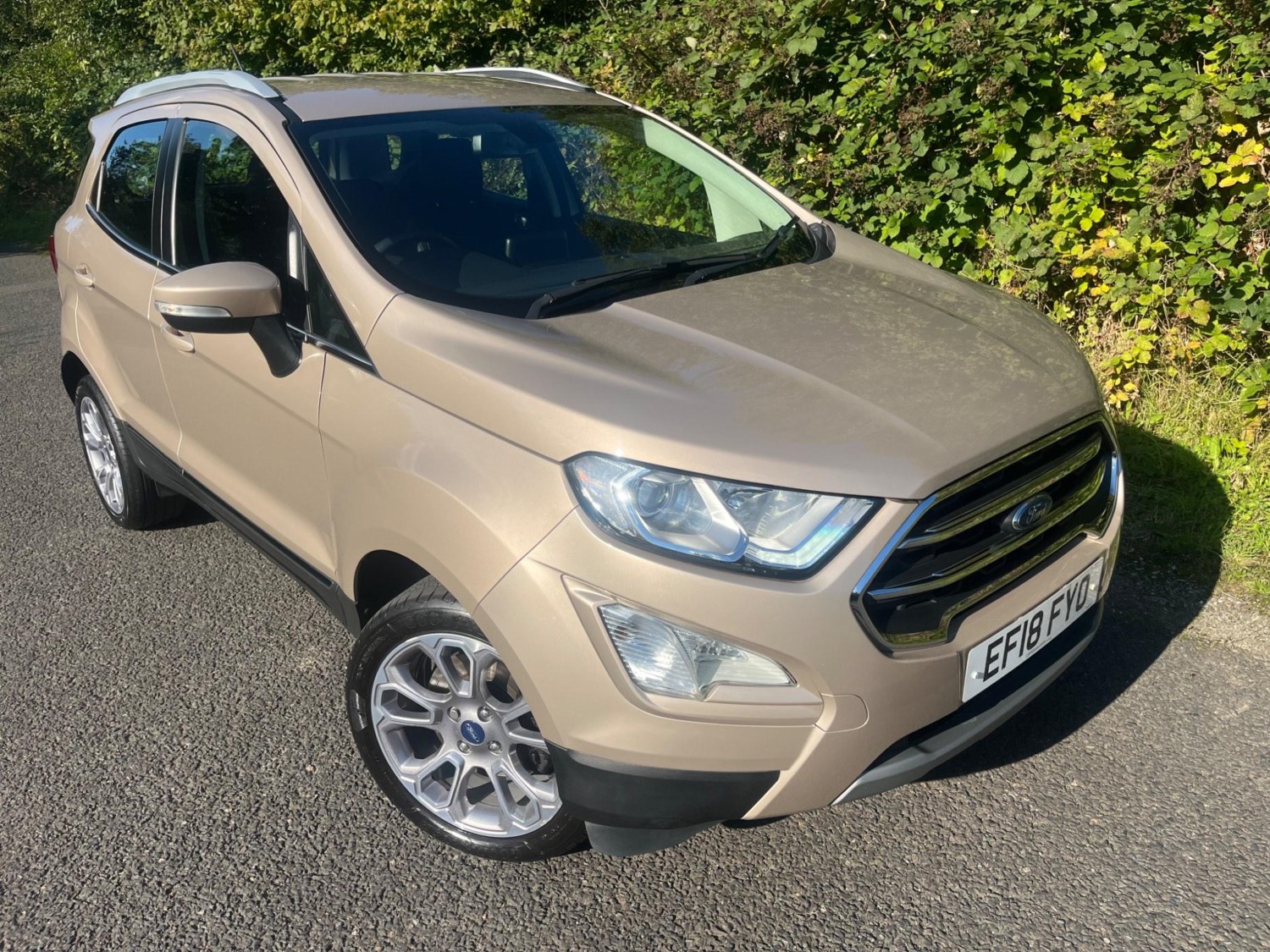 Ford EcoSport Listing Image