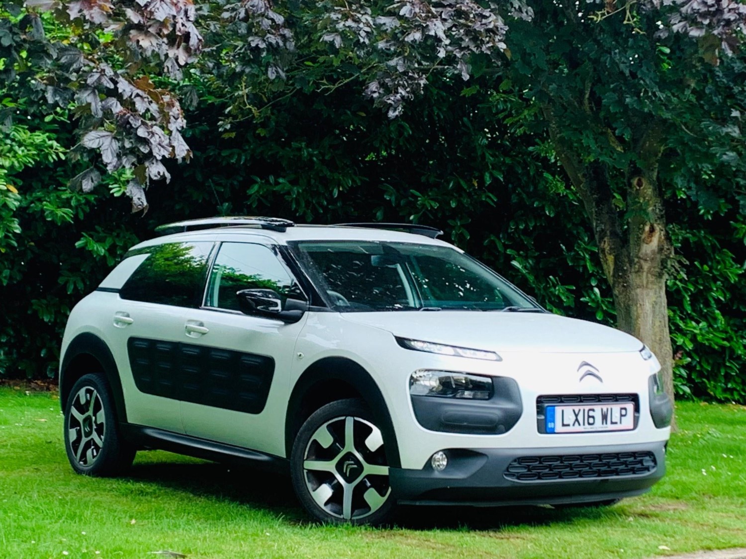 Citroen C4 Cactus Listing Image