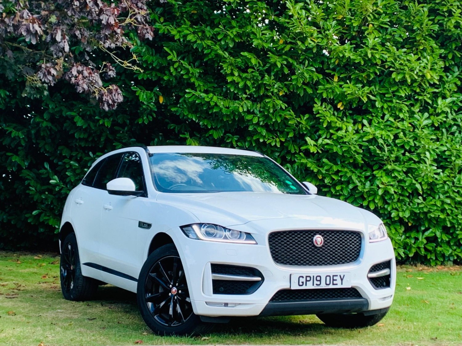 Jaguar F-PACE Listing Image