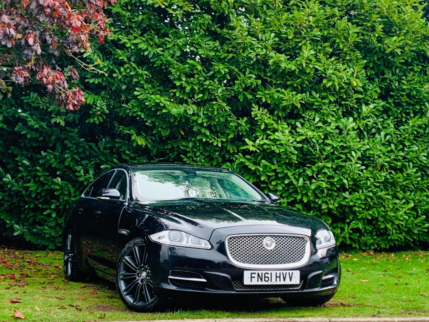 Jaguar XJ Listing Image