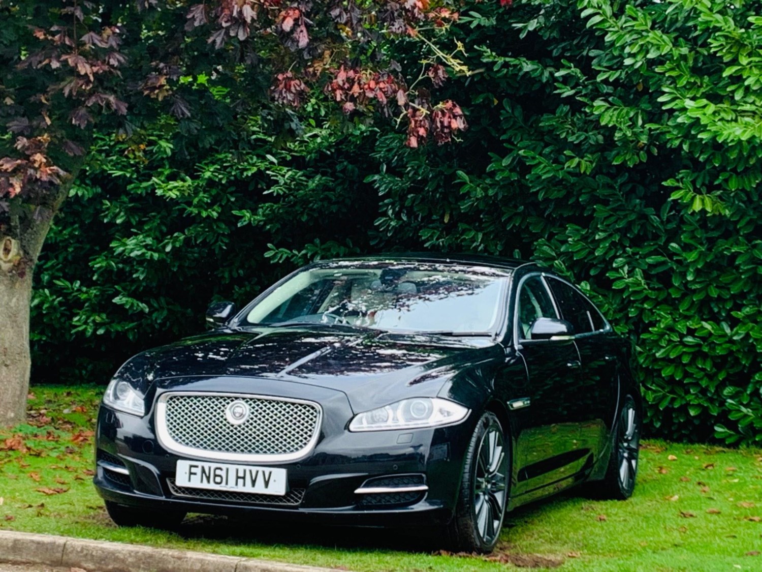 Jaguar XJ Listing Image