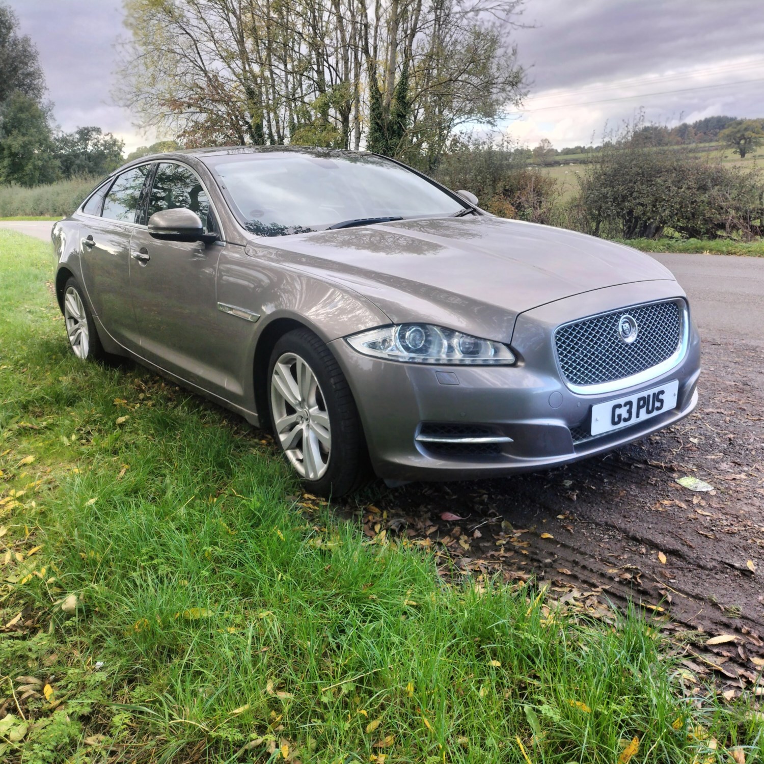 Jaguar XJ Listing Image