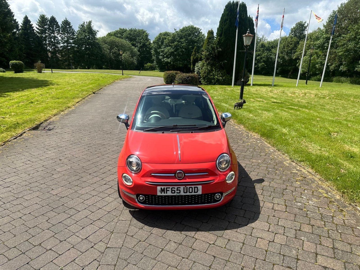 Fiat 500 Listing Image