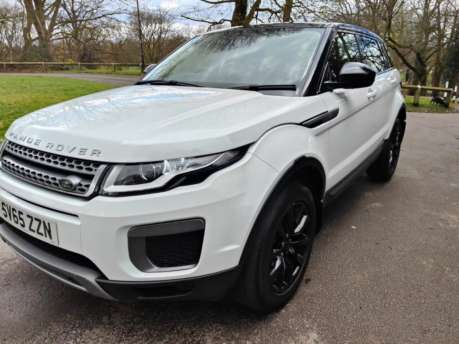 Land Rover Range Rover Evoque Listing Image