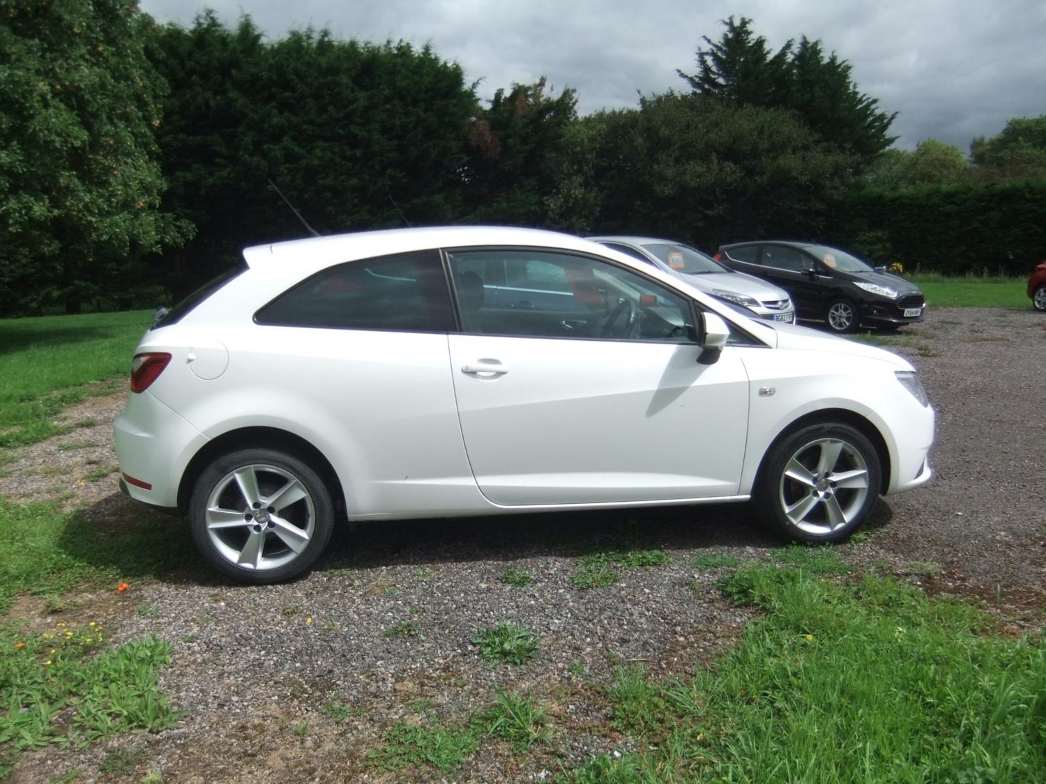 SEAT Ibiza Listing Image