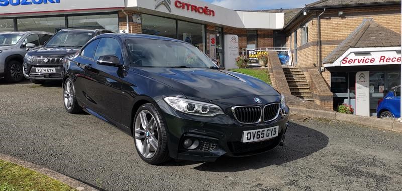 BMW 2 Series Listing Image