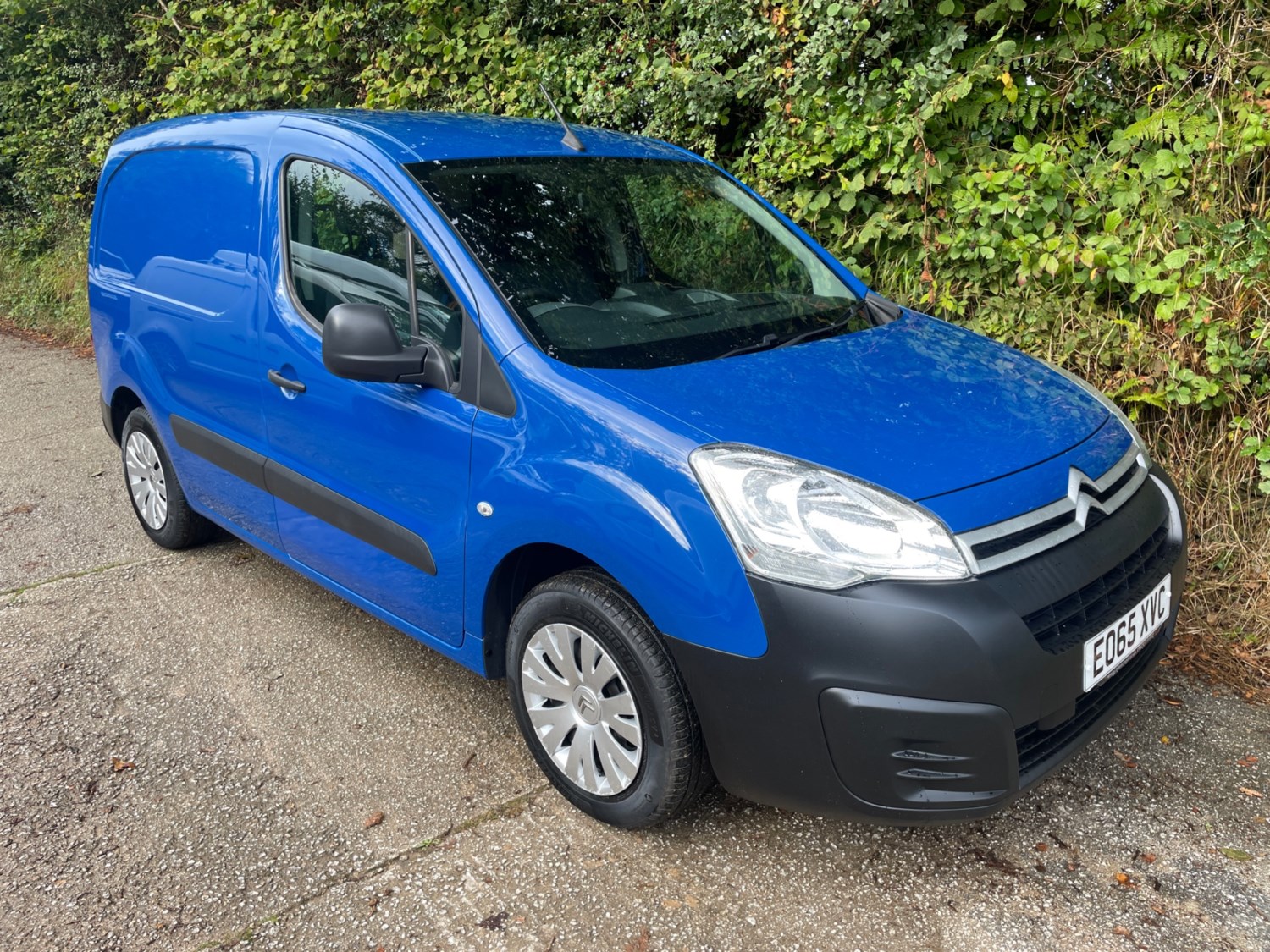 Citroen Berlingo Listing Image