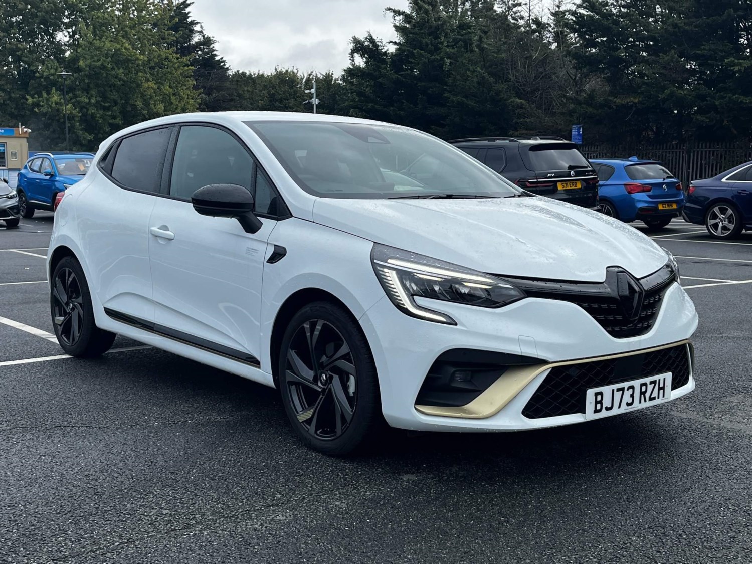 Renault Clio Listing Image