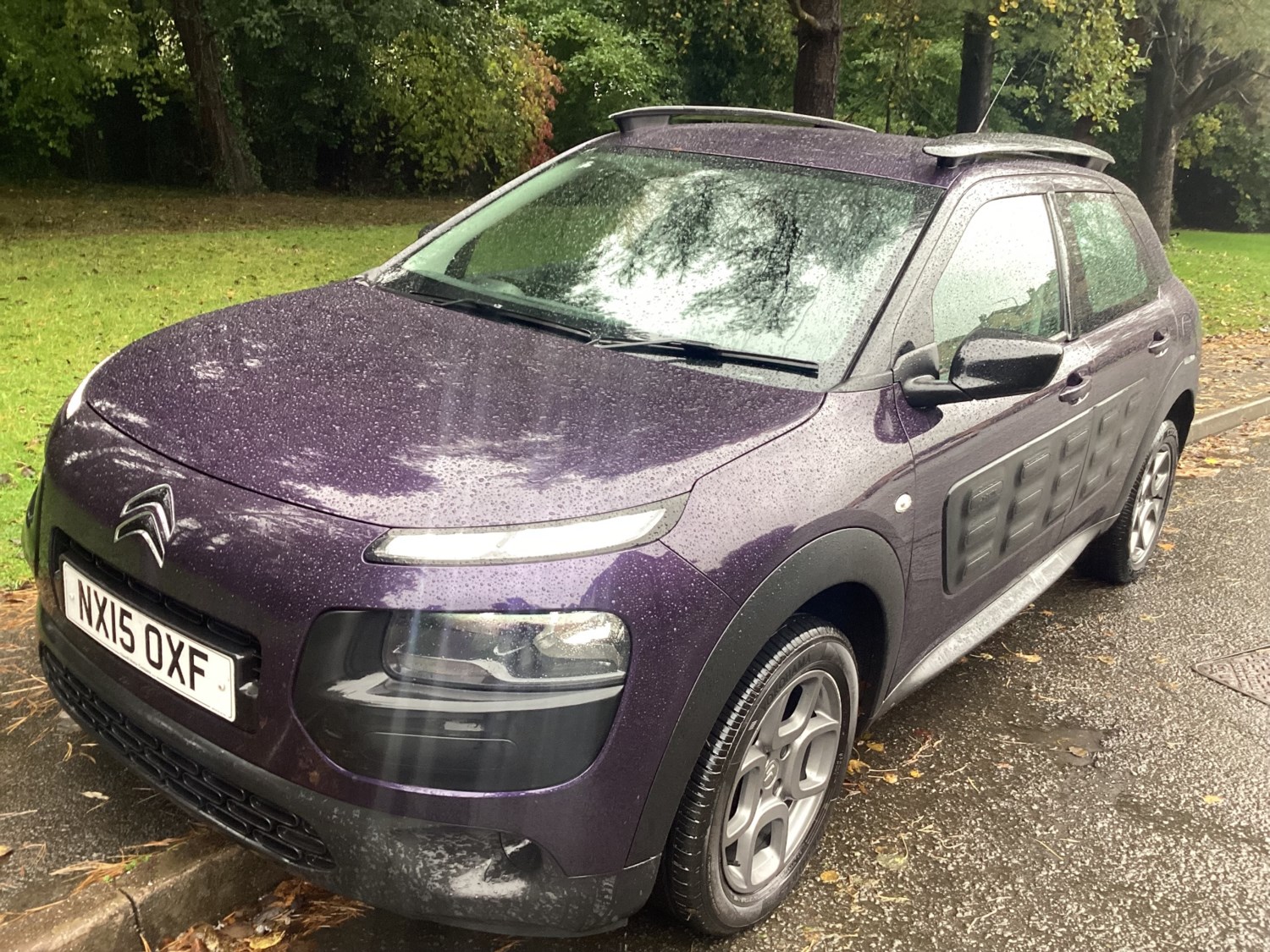 Citroen C4 Cactus Listing Image