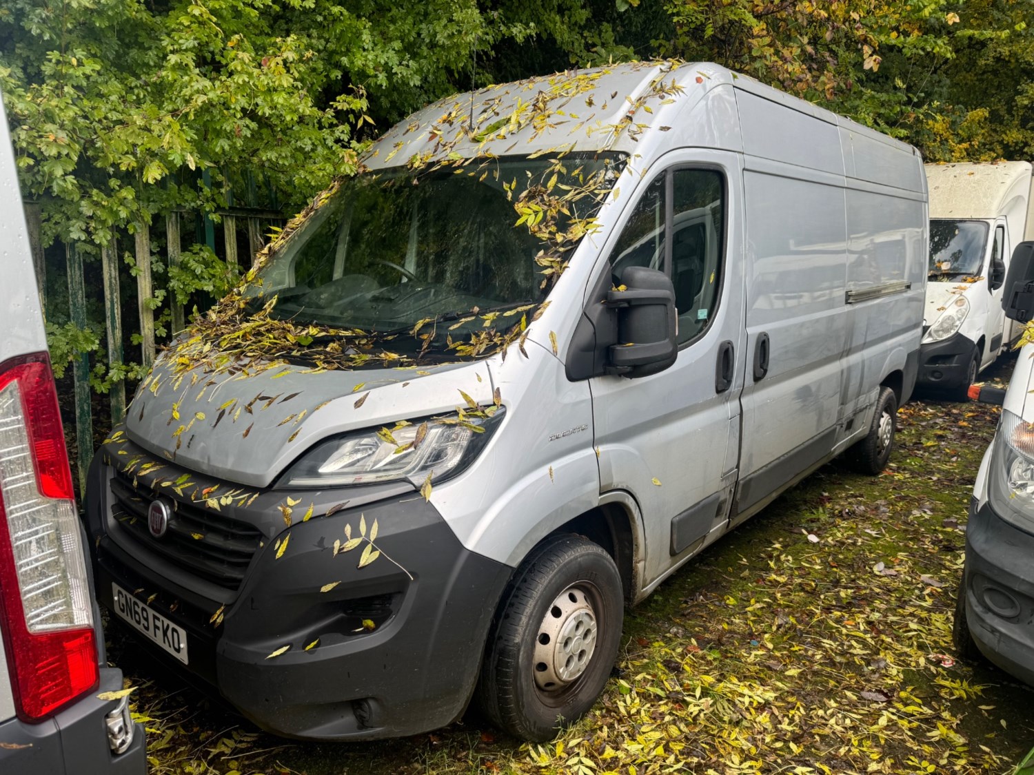 Fiat Ducato Listing Image