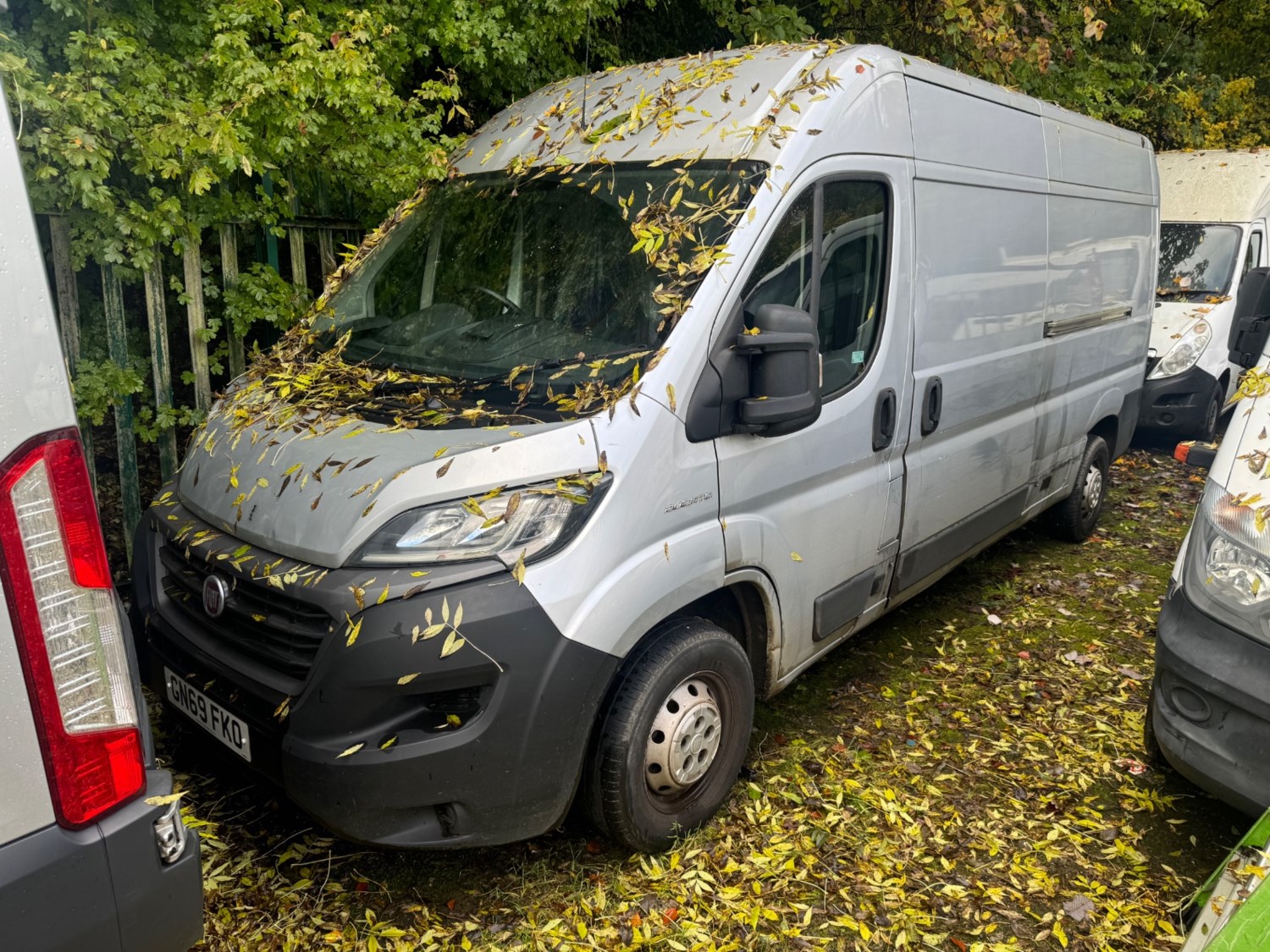 Fiat Ducato Listing Image