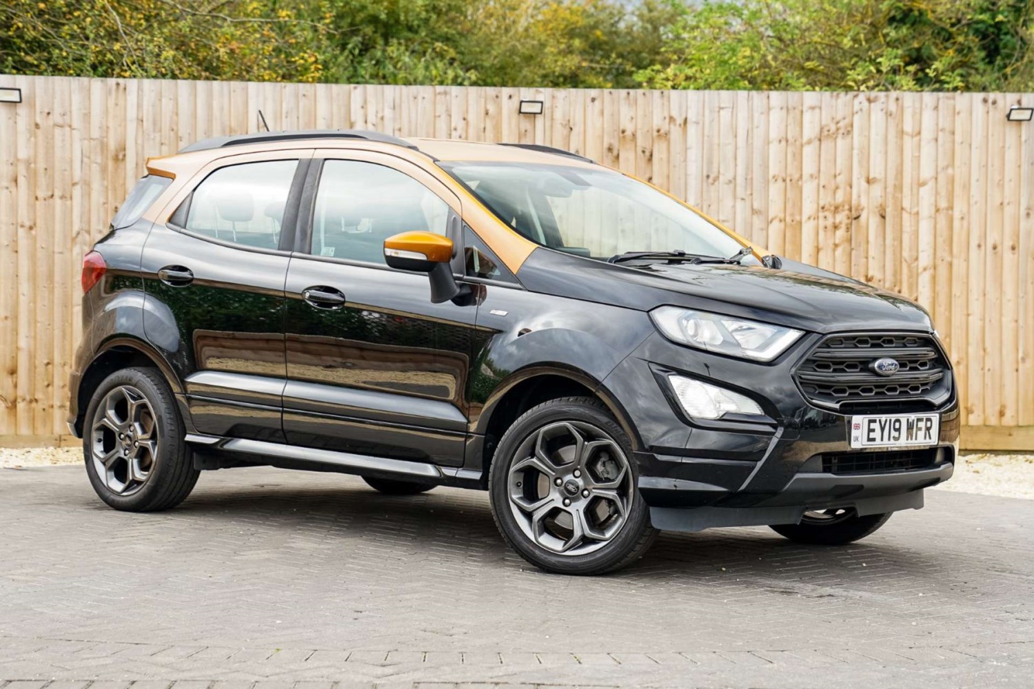 Ford EcoSport Listing Image