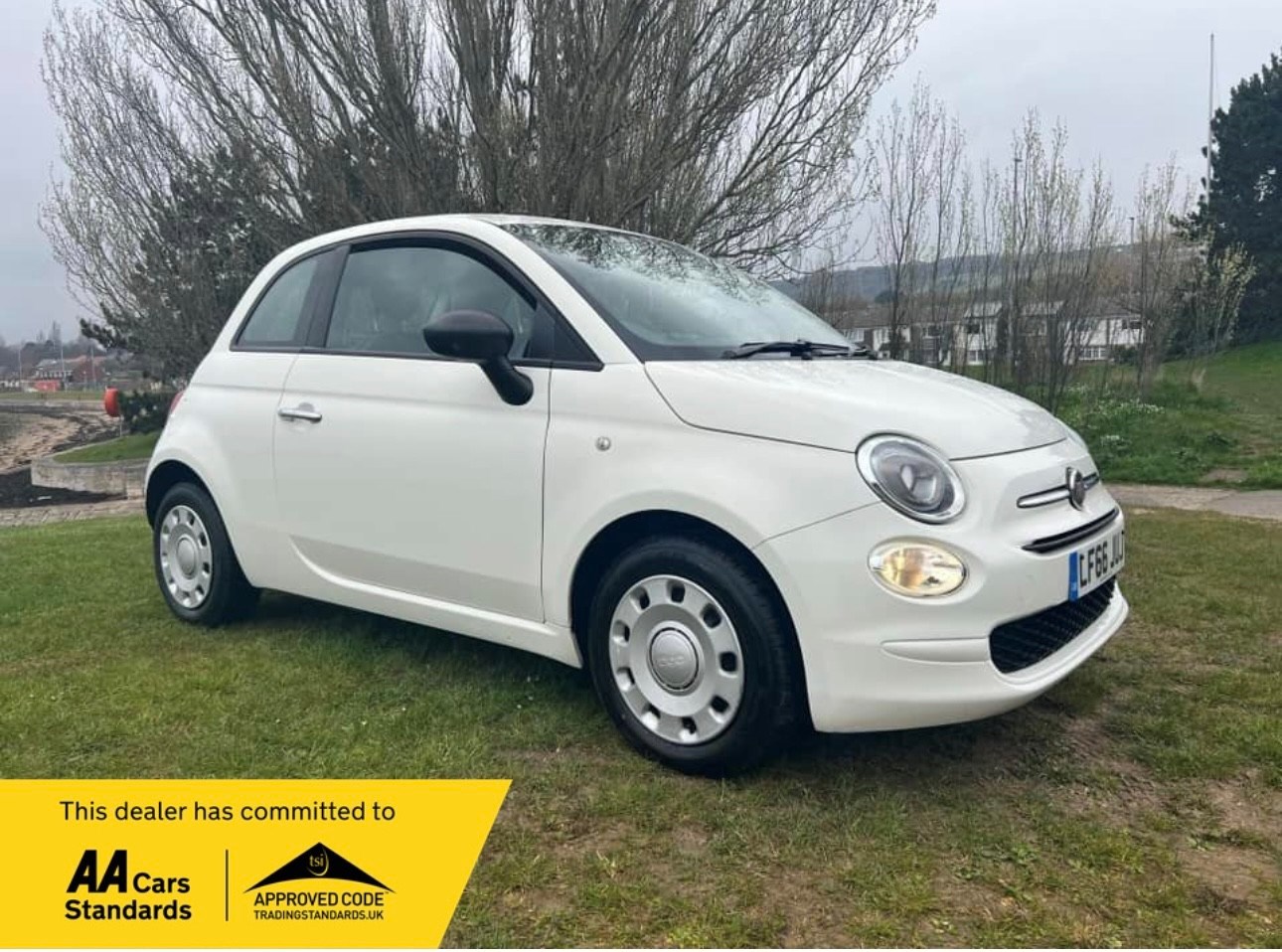 Fiat 500 Listing Image