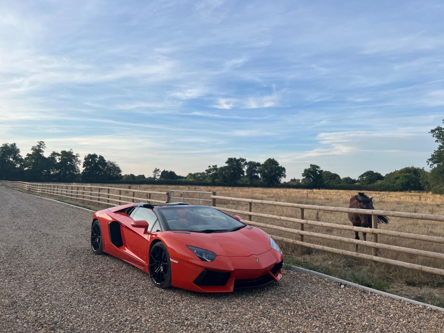 Lamborghini Aventador Listing Image